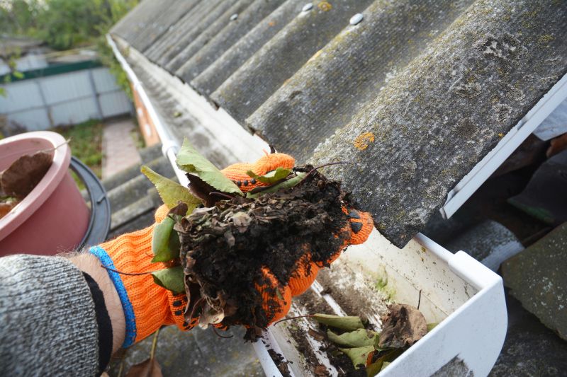 Gutter Cleaning in Action