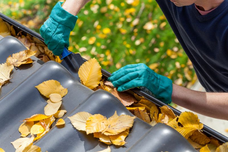 Leaf Gutter Cleaning