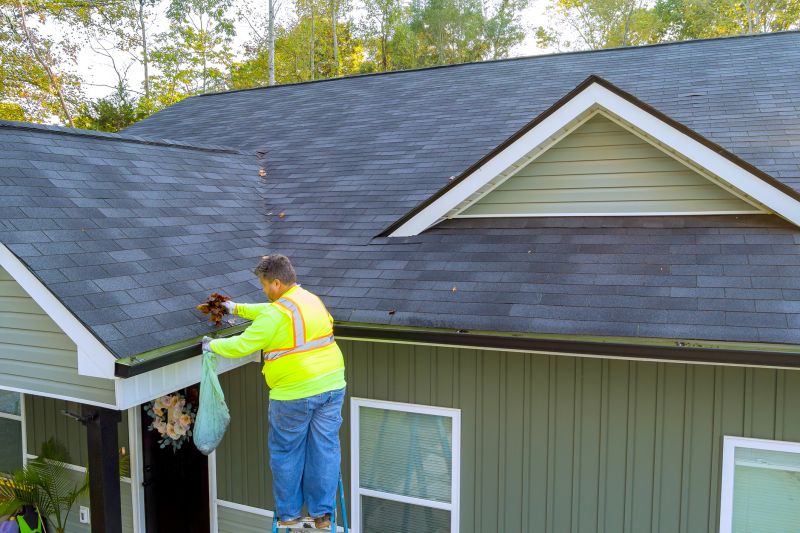 Gutter Cleaning in Camas