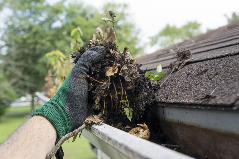 Preparing for a Gutter Cleaning