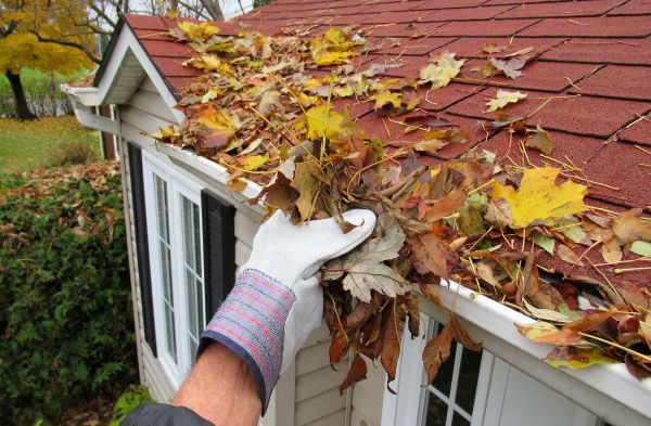 Rain Gutter Cleaning Service in Camas