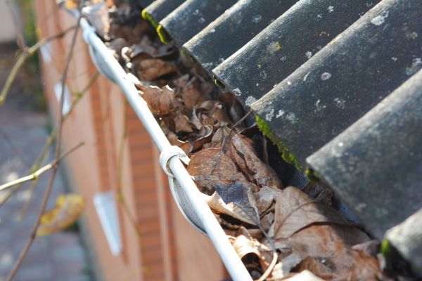 Home Gutter Cleaning in Camas