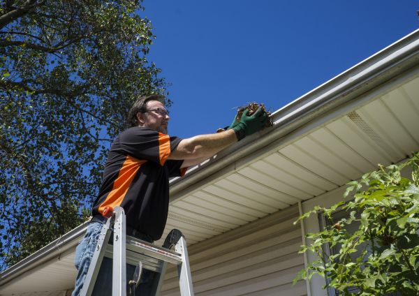 Eavestrough Clearing in Camas