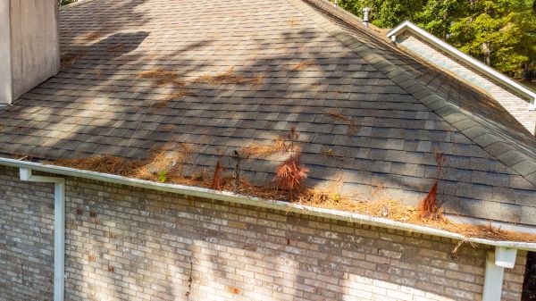Gutter Pine Needle Removal in Camas