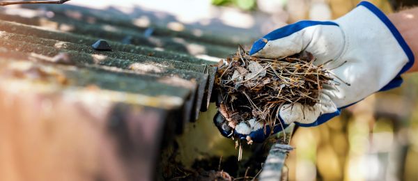 Pine Needle Gutter Cleaning in Camas